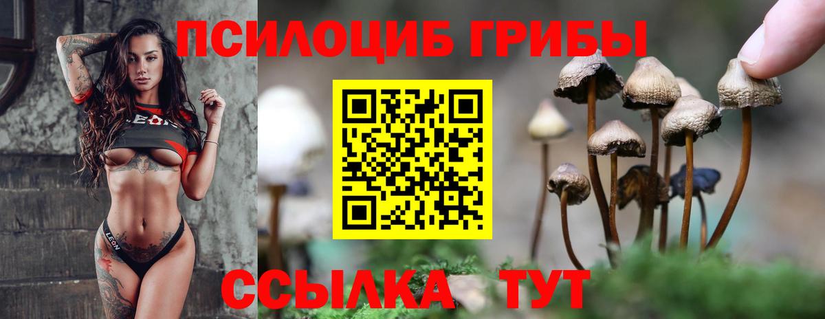 Галлюциногенные грибы Psilocybine cubensis  Вход с VPN  Полысаево  Псилоцибиновые грибы Psilocybe 